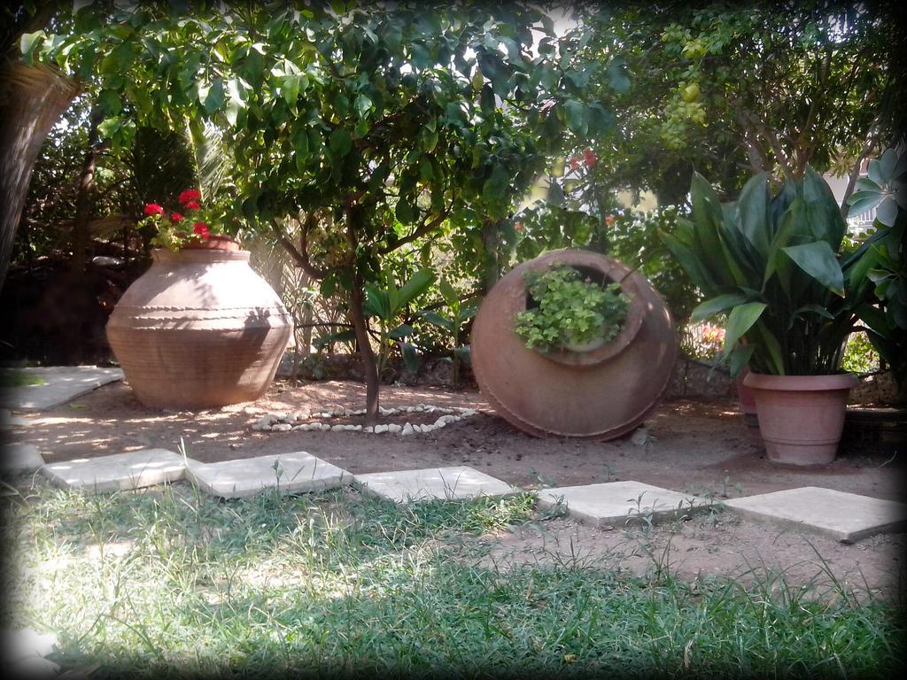 Araliki Apartments & Studios Loutra Edipsou  Dış mekan fotoğraf